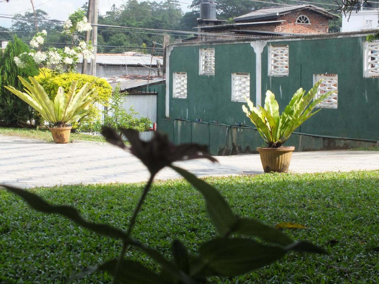 Hillsview Rest & Guest House Matale Exteriör bild