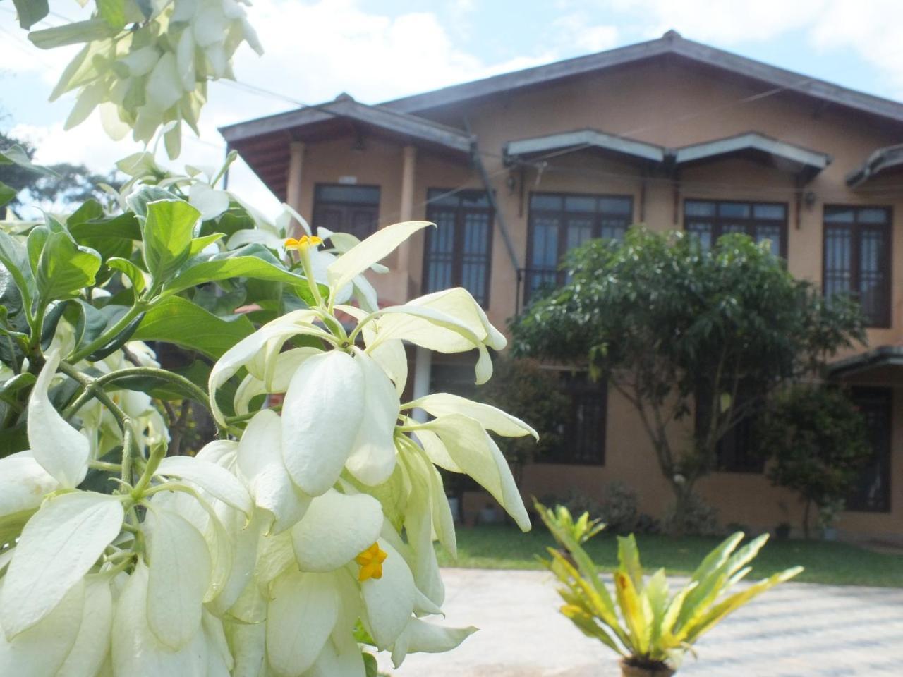 Hillsview Rest & Guest House Matale Exteriör bild