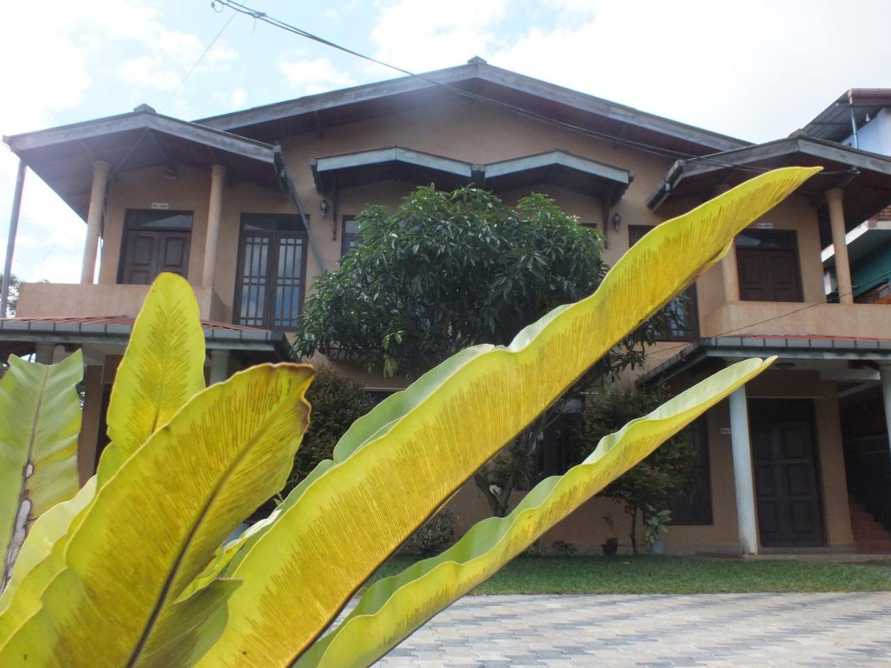 Hillsview Rest & Guest House Matale Exteriör bild